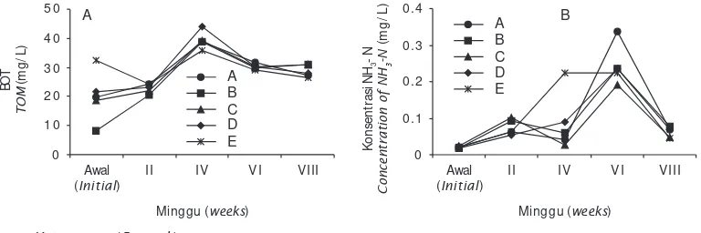 Gambar 1. Kisaran konsentrasi BOT (A) dan NH3- N (B) (mg/ L) dalam air pemeliharaan udang selamapemeliharaanFigure 1.A=  Isolat BM12, B=  Isolat BM31, C=  Isolat BM58, D=  Isolat BL542, E=  Kontrol (tanpa probiotik)Concentration of TOM (A), and NH3-N (B) (mg/L) on tiger shrimp water rearing duringexperiment