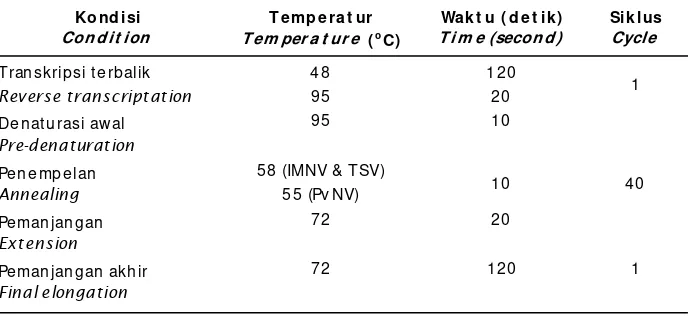 Tabel 4.Profil suhu amplifikasi untuk mendeteksi IMNV, TSV, dan PvNV dengan PCRTable 4.Temperature profile amplification for IMNV, TSV, and PvNV detection by PCR