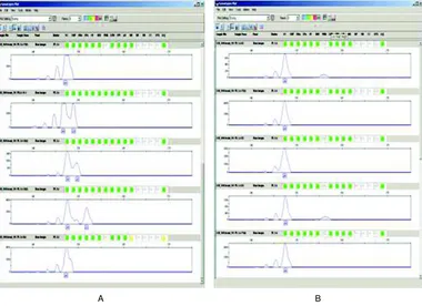 Gambar 3. Hasil separasi PCR produk ikan kerapu sunu, P. leopar dusFigur e 3. dengan primer PL- L4menggunakan ABI 3100 Aviant Genetic Analyzer  (A