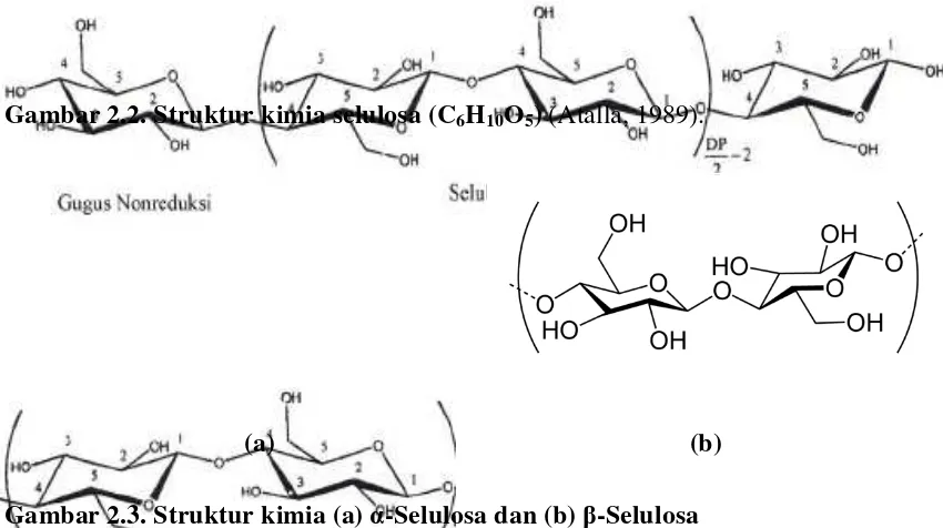 Gambar 2.2. Struktur kimia selulosa (C6H10O5) (Atalla, 1989). 
