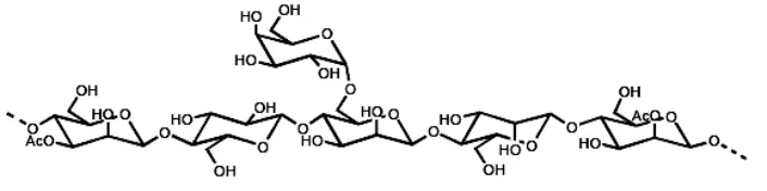 Gambar 2.4. Struktur kimia hemiselulosa (Gea, 2010). 