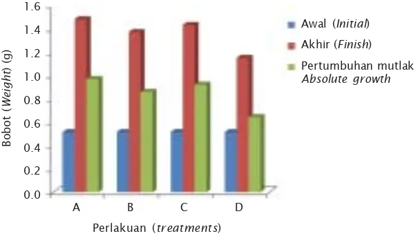 Gambar 2. Pertambahan bobot mutlak (g) yuwana abalon H. squamataFigure 2. selamapenelitianAbsolute weight gain (g) of juveniles abalone, H