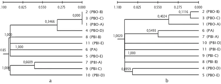Gambar 7. Dendogram hasil UPGA clustering berdasarkan profil pita protein otak (a) dan kulit (b)