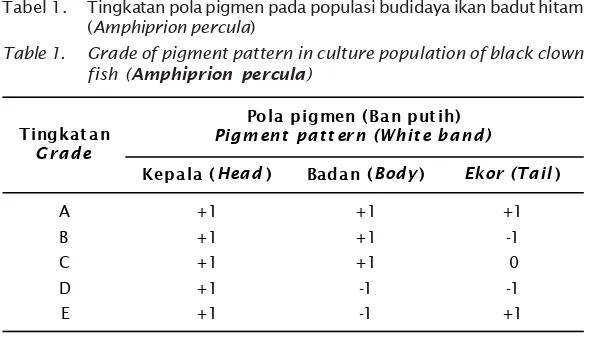 Tabel 1.Tingkatan pola pigmen pada populasi budidaya ikan badut hitam