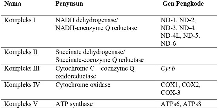 Tabel 2. Kompleks respirasi, enzim penyusun, dan gen pengkodenya.31