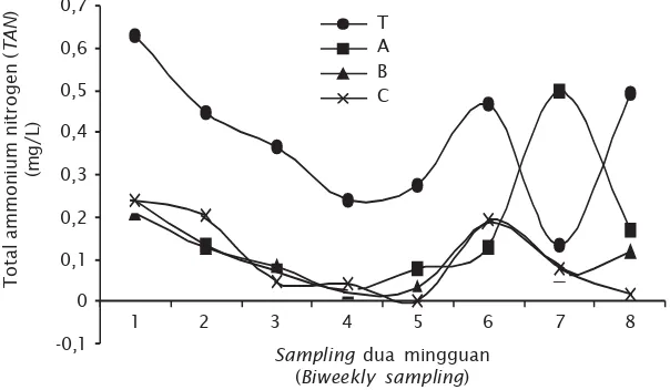 Gambar 6. Fluktuasi kandungan total ammonium nitrogen (TAN) dalam air tambak selama