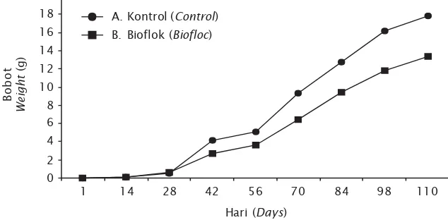 Gambar 1. Pertumbuhan udang vaname selama pemeliharaan 110 hari di tambakkontrol (A) dan tambak dengan sistem bioflok (B)Figure 1.The growth of vaname during 110 days of culture in control pond(pond A) and pond with biofloc systems (B)