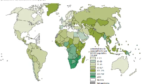 Gambar 1.2 Gambar Estimasi Beban Tuberculosis Per 100.000 Penduduk  pada Tahun 2011 di Indonesia (Sumber: WHO, 2012) 