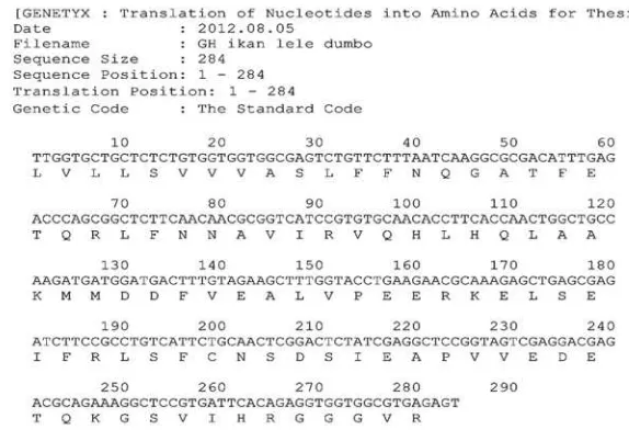 Gambar 4. Sekuen asam amino penyandi gen GH lele dumbo (hasil olah sekuen