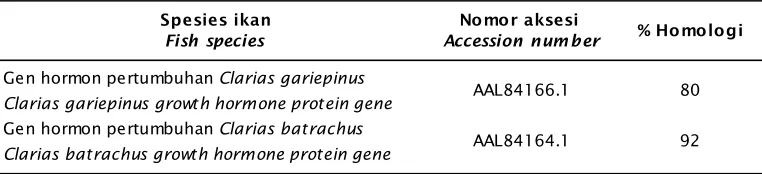 Tabel 1.Homologi nukleotida GH lele dumbo dengan protein GH spesies Clarias yang adadalam bank genTable 1.GH nucleotide homology with the African catfish with GH protein Clarias specieswhich genes exist in the gene bank