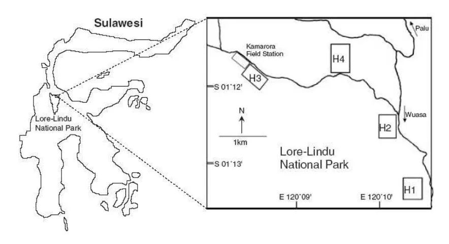 Figure 1. Map of Sulawesi and location of the study plots along the northeastern boundary of Lore Lindu National Park(after Merker, 2006).