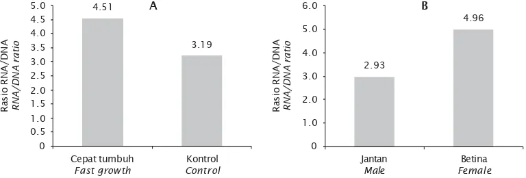 Gambar 2. Rasio RNA/DNA pada udang windu tumbuh cepat versus kontrol (A) dan jantan versusbetina (B)Figure 2.RNA/DNA ratio of black tiger shrimp between fast growing versus control shrimp (A)and male versus female