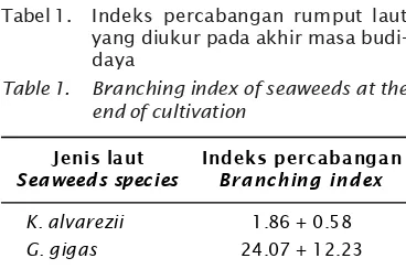 Tabel 1.Indeks percabangan rumput laut