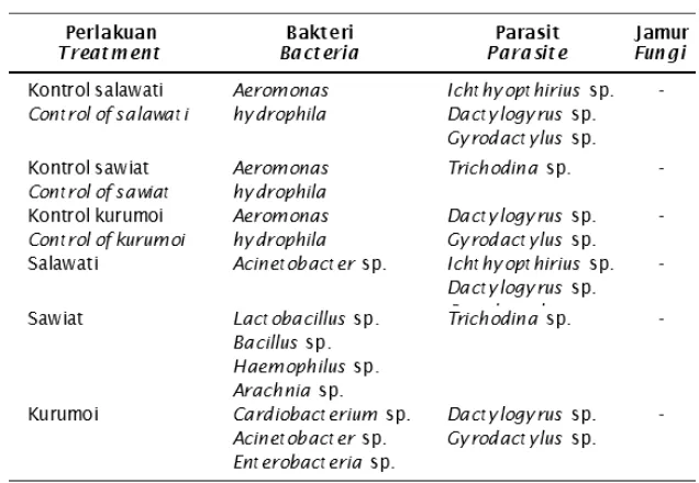 Table 1.Inventaritation and identification of pathogens that infect rainbow