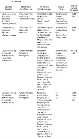 Tabel 2.Klasifikasi, morfologi, dan organ target infeksi parasit pada ikan rainbowTable 2.Classification, morphological and targeted organ of parasitic infectionin rainbow
