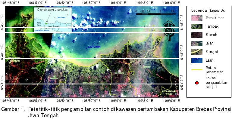 Gambar 1. Peta titik- titik pengambilan contoh di kawasan pertambakan Kabupaten Brebes Provinsi