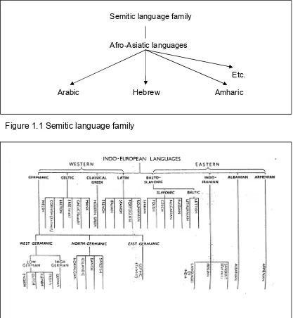 Figure 1.1 Semitic language family 