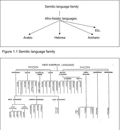 Figure 1.1 Semitic language family 
