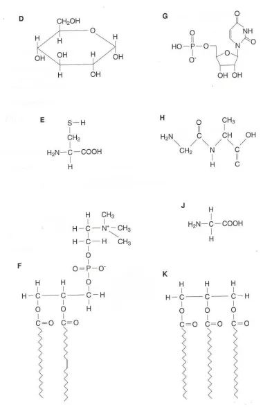 Fig. 3.1
