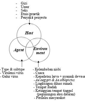Gambar 2.3. Bagan Interaksi Agent, Host, Environment (Soegijanto, 2006) 