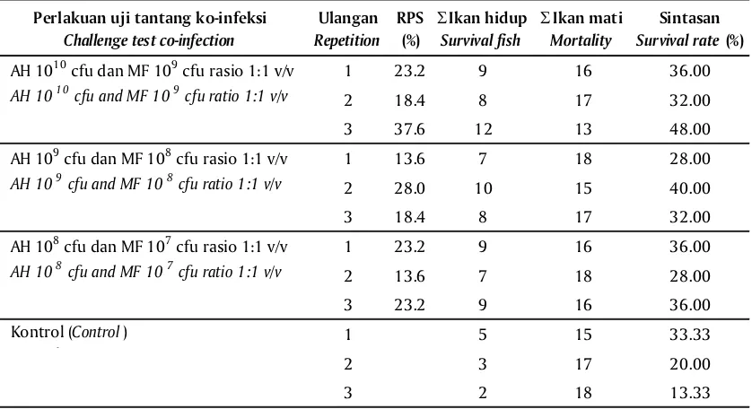 Tabel 2.Efikasi vaksinasi bivalen Table 2.A. hydrophila dan M. fortuitum melalui perendamanEfficacy of a bivalent vaccine A