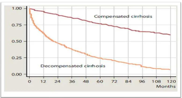 Gambar 2. 1  Harapan hidup pasien SH dekompensata dan kompensata             (Dancygier, 2010) 