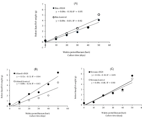 Gambar 2. Pertumbuhan bobot rata-rata ikan nila biru (A), ikan nila Srikandi (B), dan ikan nilaNirwana (C) yang diberi pakan mengandung rFigure 2.ElGH (RGH) dan tanpa rElGH (kontrol);ikan dipelihara selama 50 hariThe average weight of blue (A), Srikandi (B), and Nirwana (C) tilapia which was givena diet containing rElGH and non-rElGH (control); fish were reared for 50 days