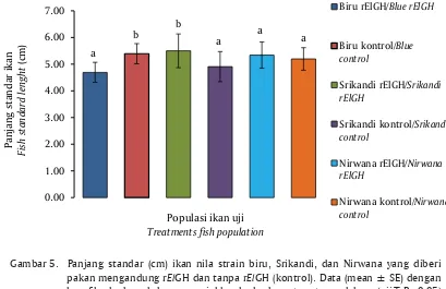 Gambar 5. Panjang standar (cm) ikan nila strain biru, Srikandi, dan Nirwana yang diberipakan mengandung rElGH dan tanpa rElGH (kontrol)