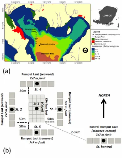 Gambar 1. Lokasi penelitian di Teluk Gerupuk, Lombok Tengah, Nusa Tenggara Barat: (a)sebaran titik pengamatan (garis yang menghubungkan titik menunjukkanpengamatan secara stratifikasi) dan (b) model pengembangan sistem IMTAFigure 1.Study site at Gerupuk Bay, Central Lombok, West Nusa Tenggara: (a) distribution ofsampling points (line indicates stratification stations) and (b) development model ofIMTA system