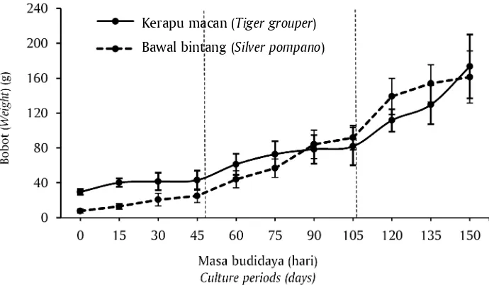 Gambar 3. Pembentuk tiga segmentasi tren pertumbuhan pada pertambahanbobot ikan kerapu macan dan bawal bintangFigure 3.Three types of growth trend formation by weight increase of tiger grouper