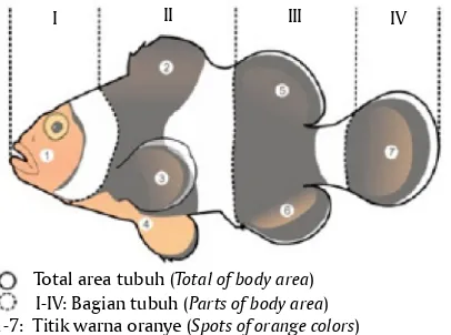 Figure 1.Gambar 1. Area dan titik pengamatan keragaan pola warnaObserved area and spots of color patterns performance