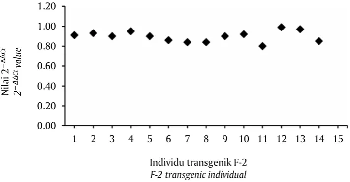 Gambar 2. Identifikasi zigositas pada ikan lele transgenik F-2 dengan metodeRT-qPCR (n=14)Figure 2.Identification zygosity in F-2 transgenic African catfish using RT-qPCR method(n=14)
