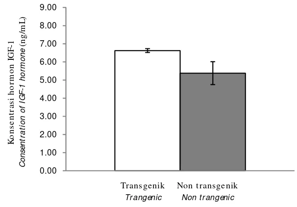 Gambar 4.Analisis kuantitatif hormon insulin-like growth factor 1 (IGF-I) pada serum ikan leleAfrika  transgenik dan non-transgenik