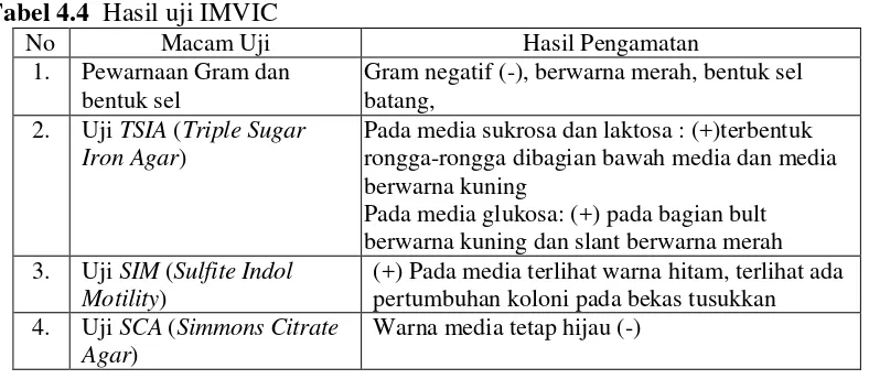 Tabel 4.4  Hasil uji IMVIC 
