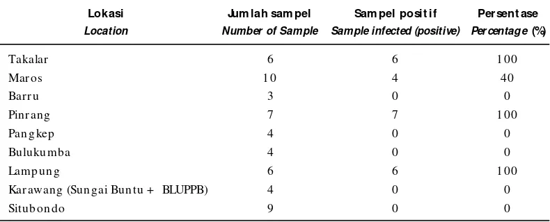 Tabel 2.Hasil deteksi vibriosis menggunakan penanda molekuler spesifik IAVhTable 2.Vibriosis detection results using molecular markers specific of IAVh