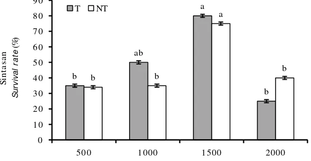 Figure 4.Survival rate of seaweed K. alvarezii explant introduced with MaSOD gene and non-