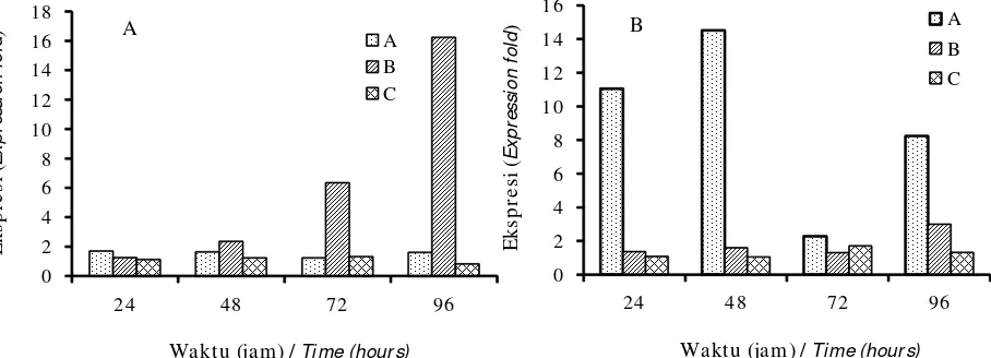 Gambar 7.Tingkat ekspresi mRNA dari transglutaminase (Tgase) (A) dan clotting protein (CP) (B) dalamhemosit benih lobster, P