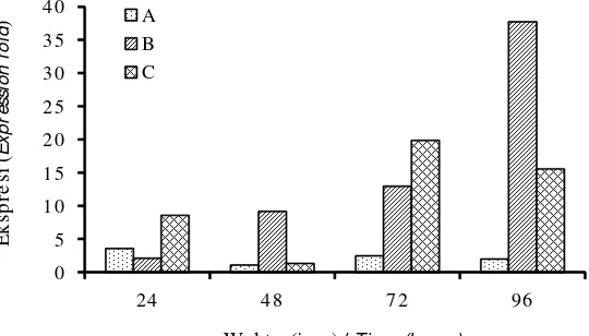 Gambar 8.Tingkat ekspresi mRNA dari glutathione peroxidase (GPO) pada hemosit benih