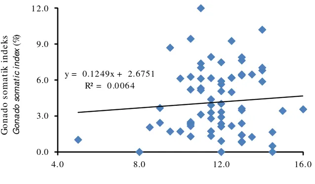 Gambar 7.Hubungan panjang total (cm) dengan GSI (%) induk teripang pasir,H. scabra.Figure 7.Relationship between total length and GSI (%) of sea cucumber,H