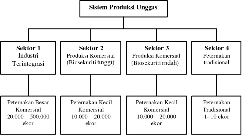 Gambar 1 Sistem perunggasan di Indonesia (Yusdja et al. 2004). 