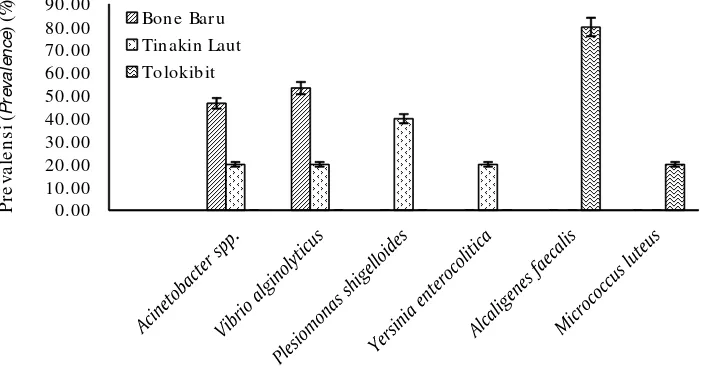 Gambar 2.Jenis dan nilai prevalensi bakteri dari tingkat nelayan penangkap di
