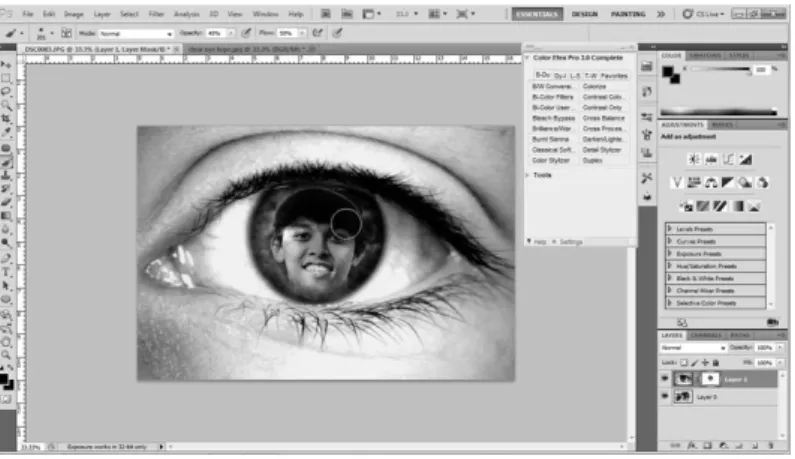 Gambar 1.14 Gambar brush masking 