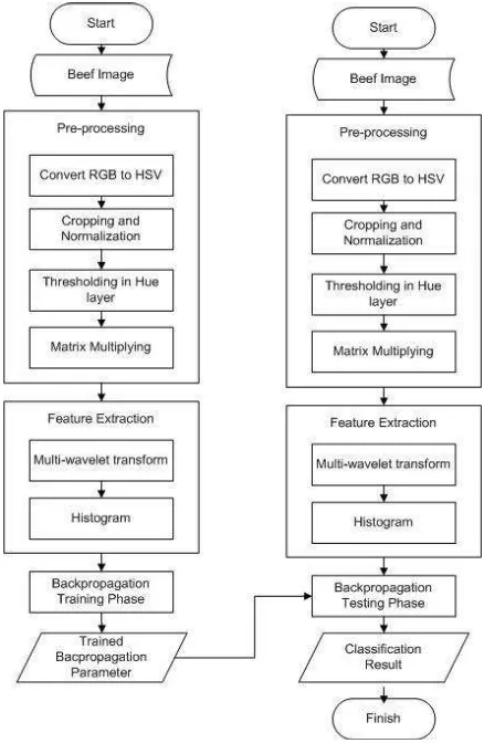 Figure II-2 Classification process by using Backpropagation 