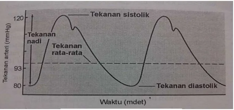 Gambar 1. Tekanan Darah Arteri 