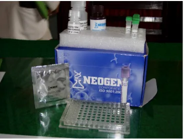 Gambar 4.1 Kit ELISA Neogen’s Corporation