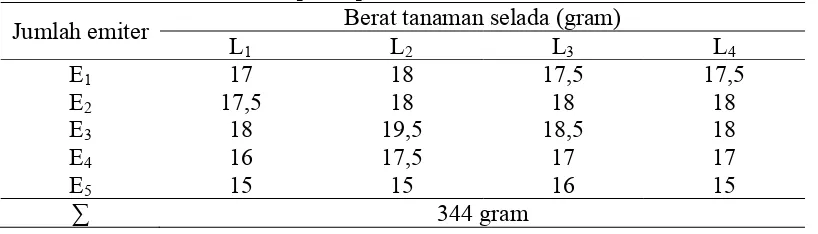 Tabel 6. Berat tanaman selada pasca panen Berat tanaman selada (gram) 