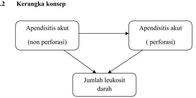 Gambar 2. Kerangka konsep