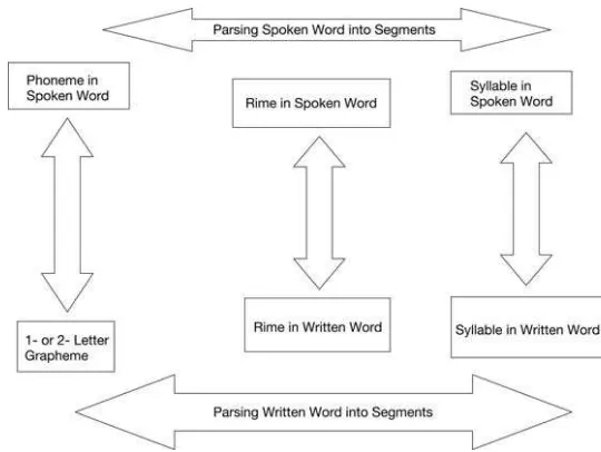 Figure 7.2 Following parsing the written word each unit is mapped onto a speech unit ofcorresponding size