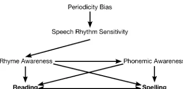 Figure 1.1 Pathway 1 – Speech rhythm sensitivity contributes to reading via spoken wordrecognition and vocabulary growth.