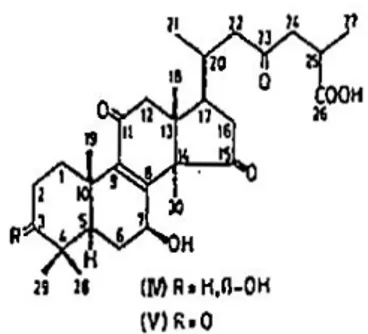 Gambar 1. Struktur Ganoderic acid (Hirotani et al., 1993) 